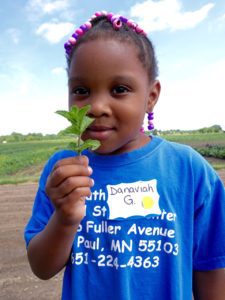 dsc07117-danaviah-mint-head-start-hafa-farm