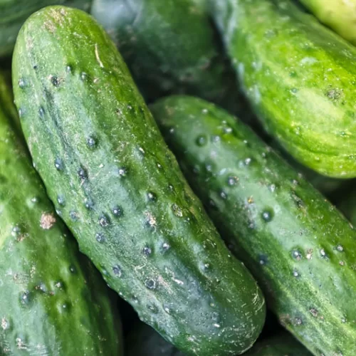 Cucumbers