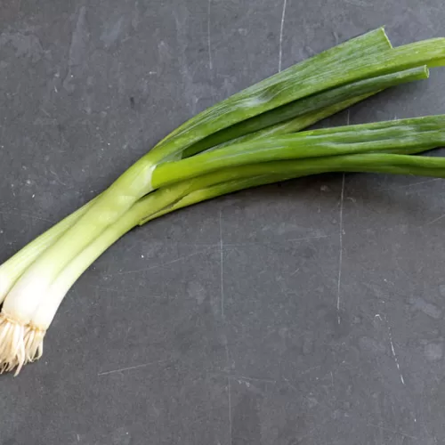 Green Onions