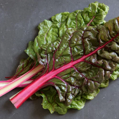 Swiss Chard