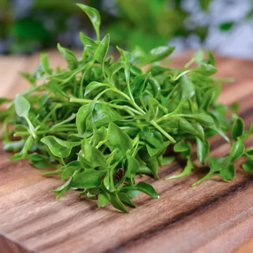 Watercress